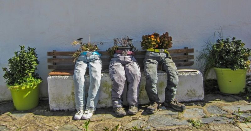 pantalones y maceteros.jpg